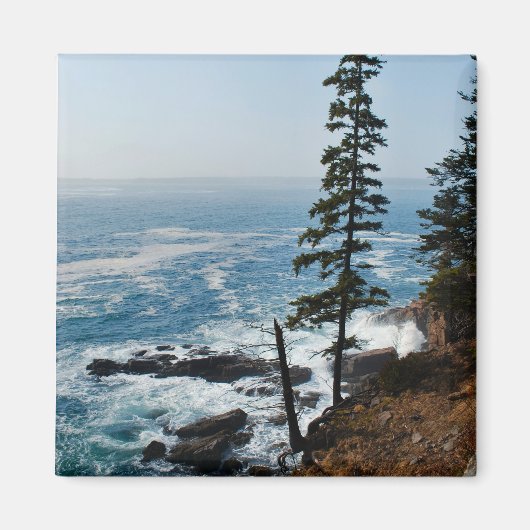 Acadia Shore Magnet - 1 (Voorkant)