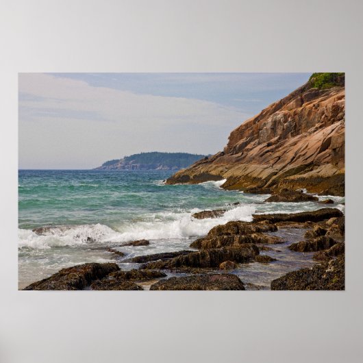 Acadia Shore Poster (Voorkant)