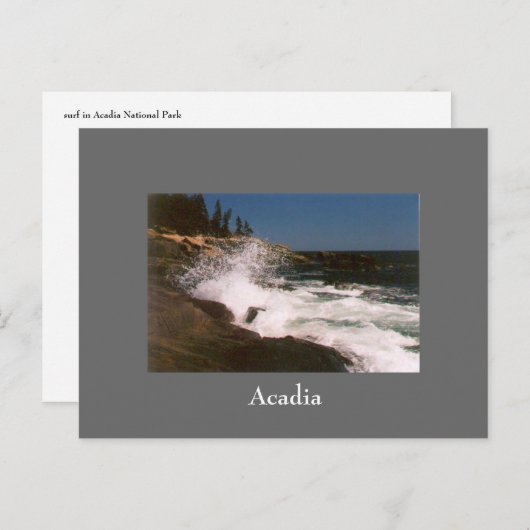 Acadia Surf Briefkaart - 1 (Voorkant / Achterkant)