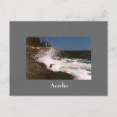 Acadia Surf Briefkaart - 1 (Voorkant)