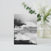 Acadia Surf Briefkaart - 3 (Staand voorkant)