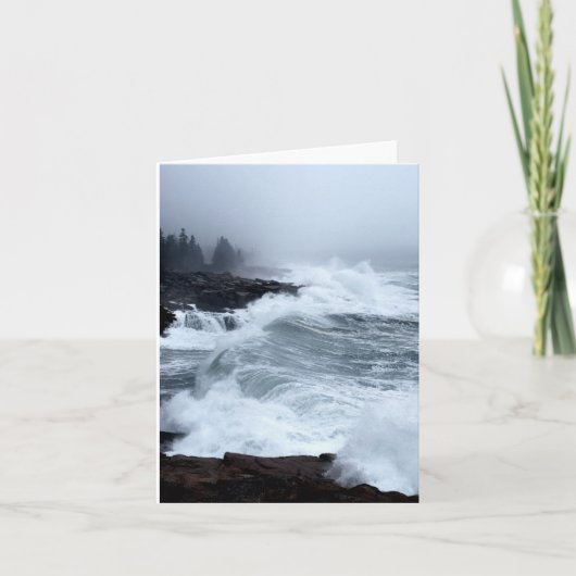 Acadia Surven Notecard - 2 Kaart (Voorkant)