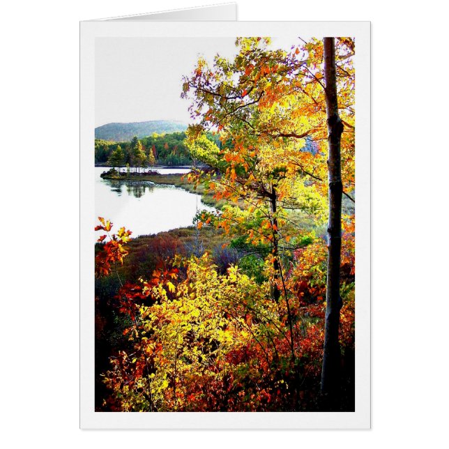 Acadiaans Vista (Voorkant)