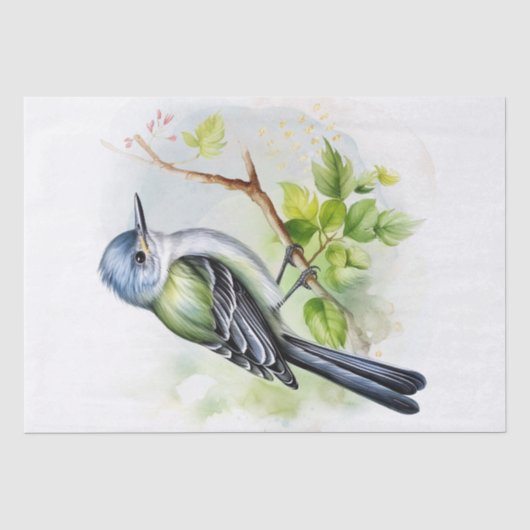 Acadian Flycatcher Bird Tissuepapier (Voorkant)