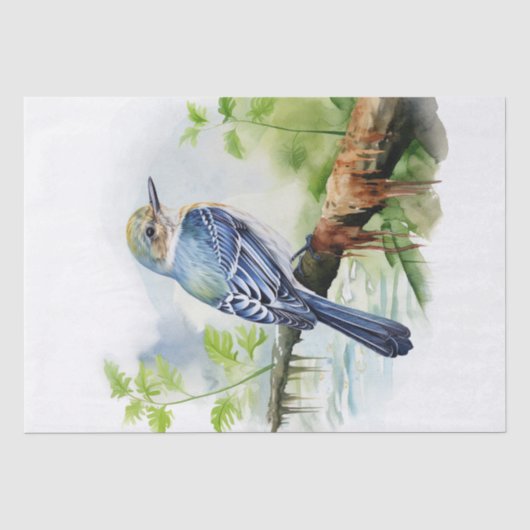 Acadian Flycatcher Bird Tissuepapier (Voorkant)