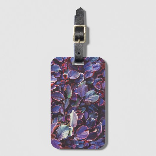 Acalypha Wilkesiana Bagagelabel (Voorkant (verticaal))