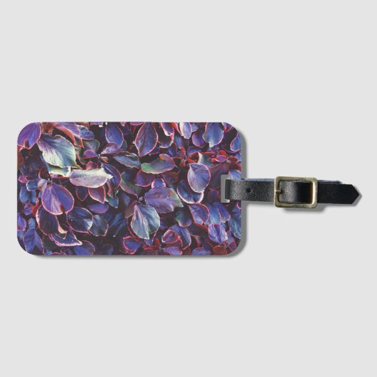 Acalypha Wilkesiana Bagagelabel (Voorkant (horizontaal))