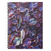 Acalypha Wilkesiana Notitieboek (Voorkant)