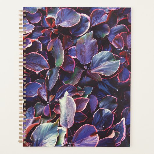 Acalypha Wilkesiana Planner (Voorkant)