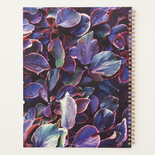 Acalypha Wilkesiana Planner (Achterkant)