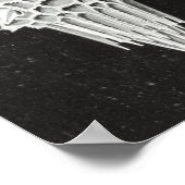 Acanthophracta, schaars, waterdier poster (Hoek)