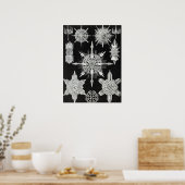 Acanthophracta, schaars, waterdier poster (Keuken)