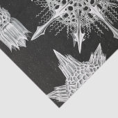 Acanthophracta, schaars, waterdier tissuepapier (Detail)