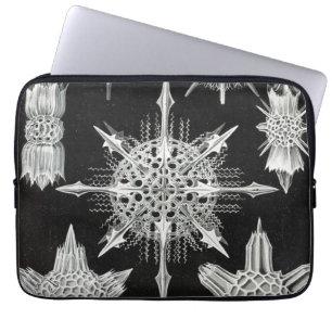 Acanthophracta, Wunderstrahlinge in het water leve Laptop Sleeve