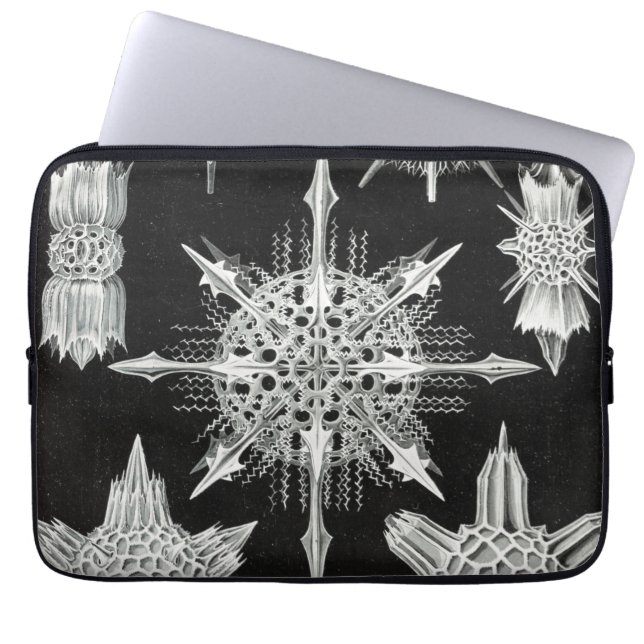 Acanthophracta, Wunderstrahlinge in het water leve Laptop Sleeve (Voorkant)