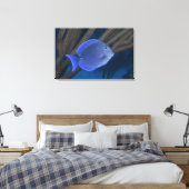 Acanthurus coeruleus met zee canvas afdruk (Insitu (Slaapkamer))