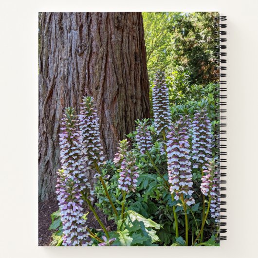 Acanthus/Beer Breeches Floral Notitieboek (Achterkant)