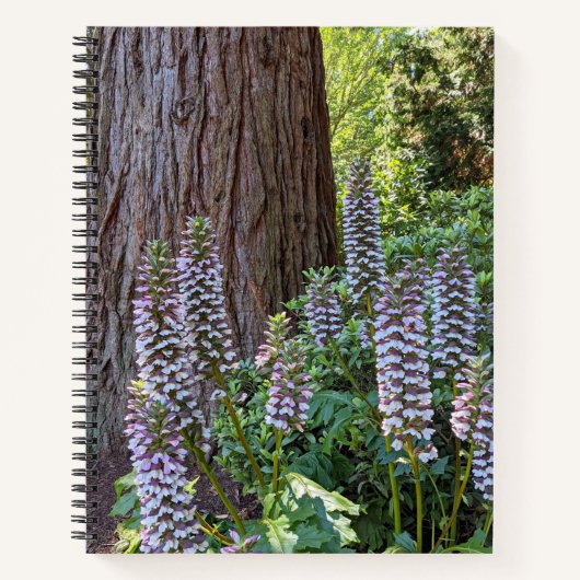 Acanthus/Berenice bloem Notebook Notitieboek (Voorkant)