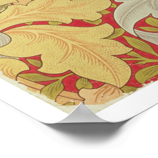 Acanthus bladeren en wild roos op een schijfje poster (Hoek)