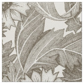 Acanthus thee sterk wit stof (Close Up)