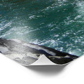 Acapulco Cliff Diver Foto Afdruk (Hoek)