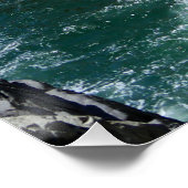 Acapulco Cliff Diver Perfect Poster (Hoek)