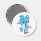 Acara Blue Magneet (Voorkant / Achterkant)