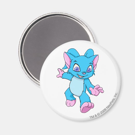 Acara Blue Magneet (Voorkant / Achterkant)