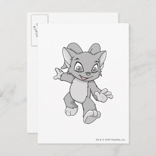 Acara Silver Briefkaart (Voorkant / Achterkant)