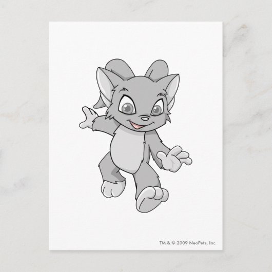 Acara Silver Briefkaart (Voorkant)