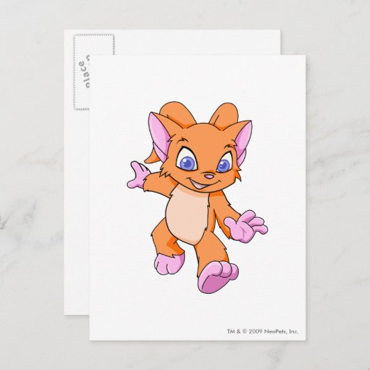 Acara Sinaasappel Briefkaart (Voorkant / Achterkant)