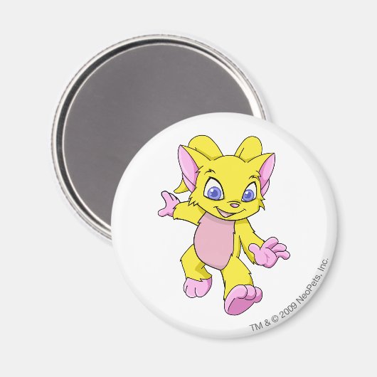 Acara Yellow Magneet (Voorkant / Achterkant)