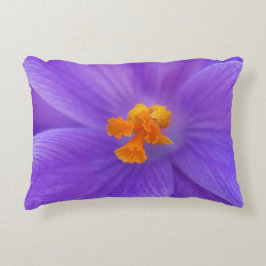 Accent Pillow Accent Kussen