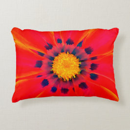 Accent Pillow Accent Kussen