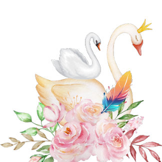 Accent Pillow Accent Kussen