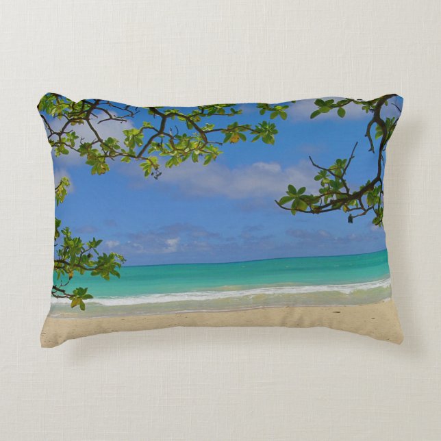 Accent Pillow Accent Kussen (Voorkant)