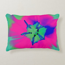 Accent Pillow Accent Kussen