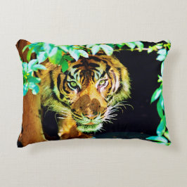 Accent Pillow Kussen