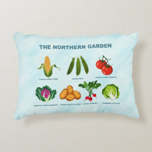 Accent Pillow Kussen