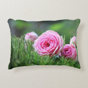 Accent Pillow Kussen