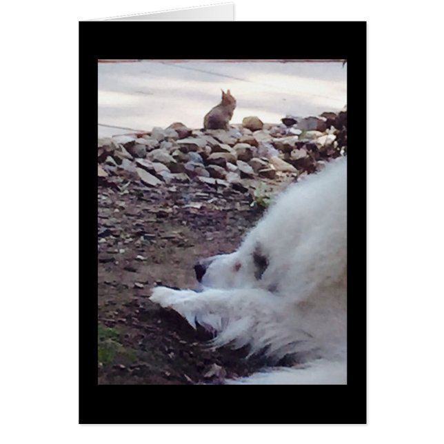 Acceptatiekaart (Voorkant)