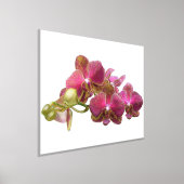 Accessoires voor Folie links op rode orchideeën Af Folie Afdrukken (Laagn)