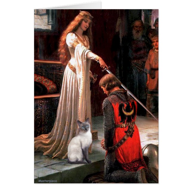 Accolade - Blue Point Siamese kat (Voorkant)