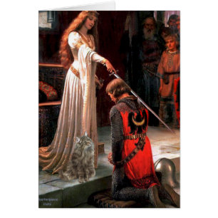 Accolade - Noorse boskat