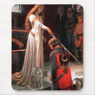 Accolade - Noorse boskat Muismat