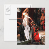 Accolade - Poodle (TWO Standaard) Briefkaart (Voorkant / Achterkant)