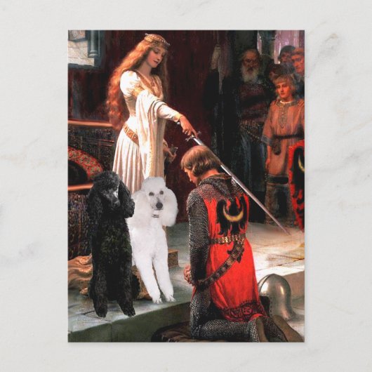Accolade - Poodle (TWO Standaard) Briefkaart (Voorkant)