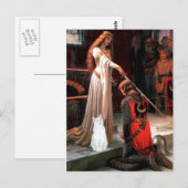 Accolade - Witte kat Briefkaart (Voorkant / Achterkant)