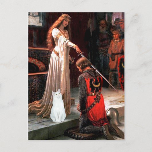 Accolade - Witte kat Briefkaart (Voorkant)