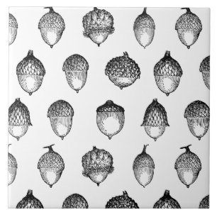  accordeon Klassieke reconstituerende BG-KLEUR Tegeltje